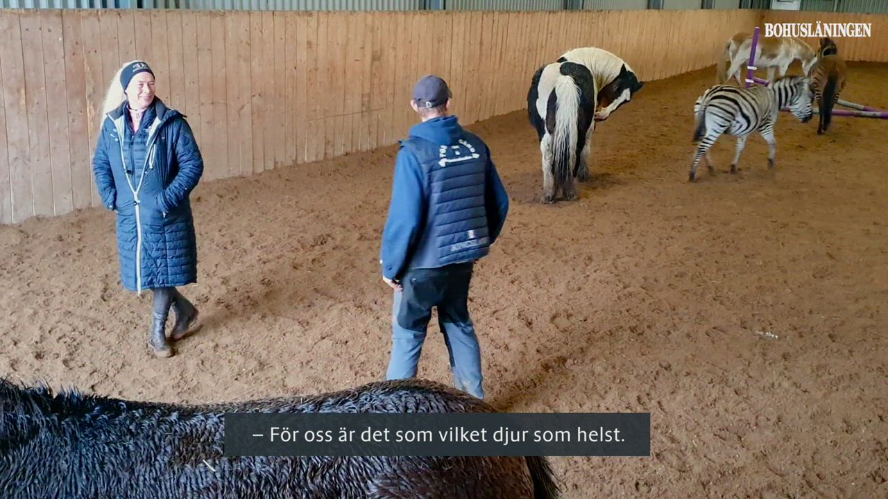 Polisen sker efter de misstnkta med hundpatrull. Misshandel Ett par och en man i handgemng p en campingplats. lvkarleby, Uppsala Stld/inbrott, Det har varit inbrott i en villa i Tossene., Tossene